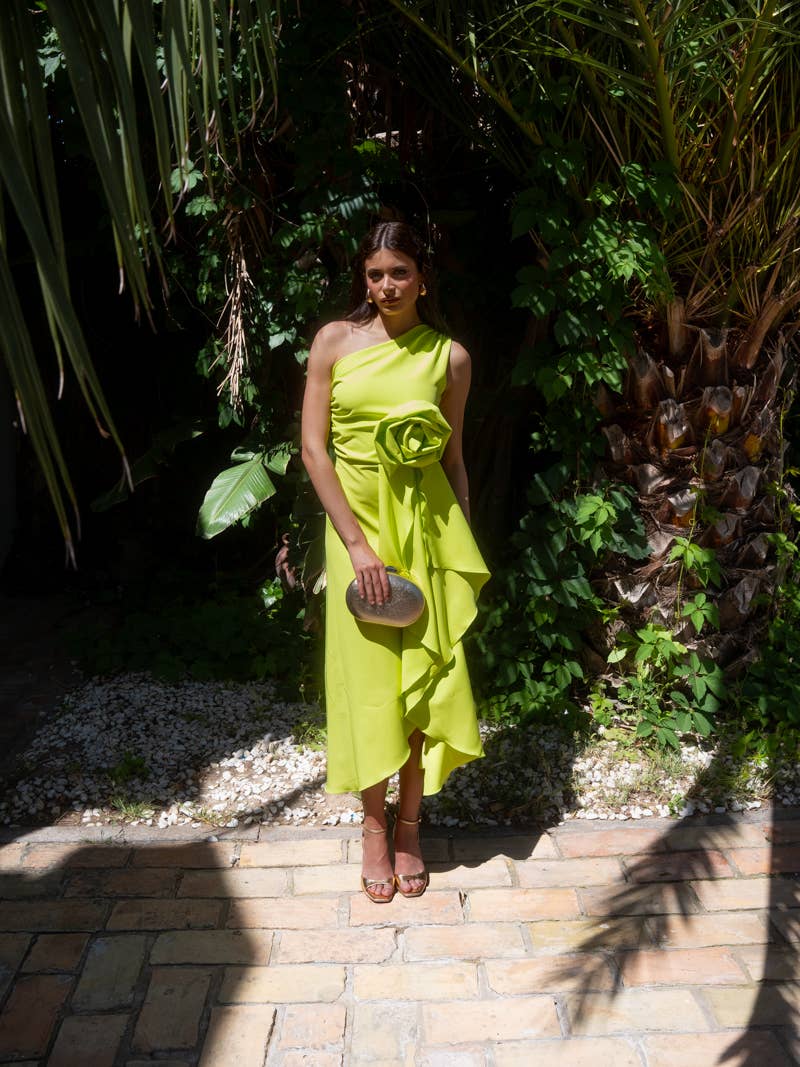 Vestido Alice